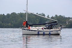 IMG_1372 (2)